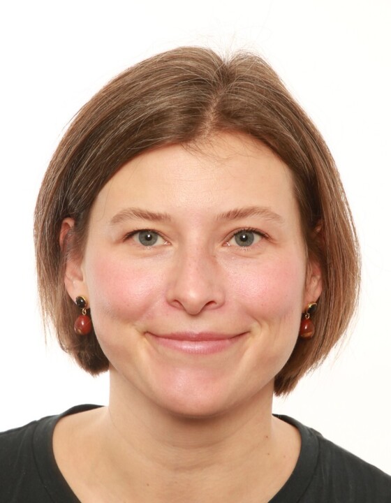 Billede for Censornæstforperson for Innovation og Entrepreneurship